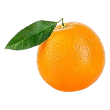 Pixie Orange - Image 2